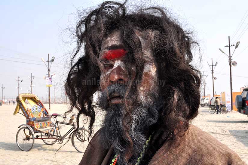 Culture- Aghori Sadhu\'s (India) - Long hair Aghori Sadhu wearing rudraksha bead at Mahakumbh, Allahabad, Uttar Pradesh, India. by Anil Sharma Photography