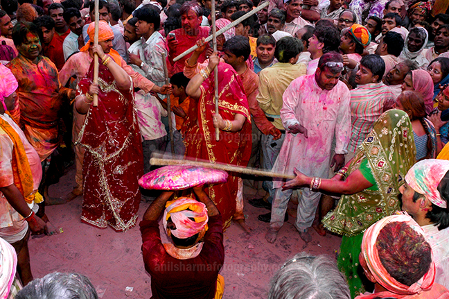 Festivals- Lathmaar Holi of Barsana (India) - A man protecting himself from womens of Barsana hitting on his shield with their sticks during Lathmaar Holi at Barsana. by Anil Sharma Photography