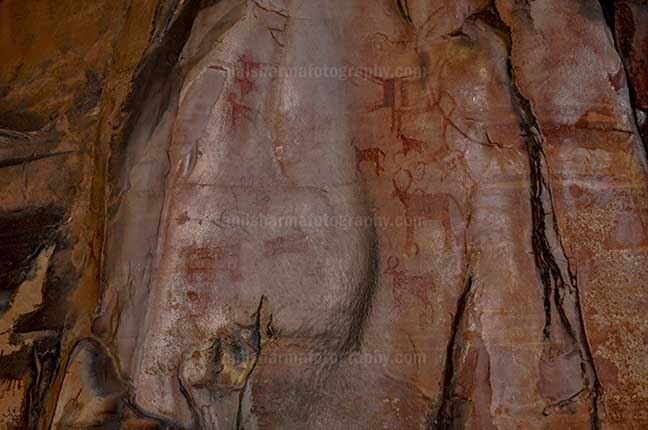 Archaeology- Bhimbetka Rock Shelters - Prehistoric Rock Paintings of different animals at Bhimbetka archaeological site at Raisen. by Anil Sharma Photography