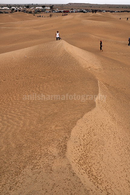 Festivals: Jaisalmer Desert Festival Rajasthan (India) - Tourists enjoy walking on the golden sand dunes in jaisalmer, Rajasthan. by Anil Sharma Photography
