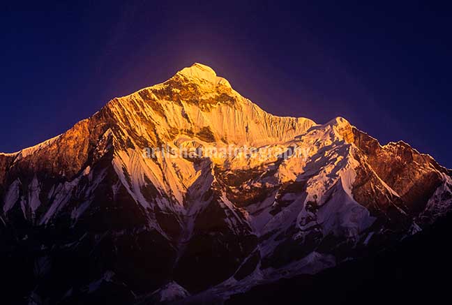 Nature-  Nanda Devi Peak - Snow covered Golden Nanda Devi East in Kumaon Himalalyas in Uttarakhand, India. by Anil Sharma Photography