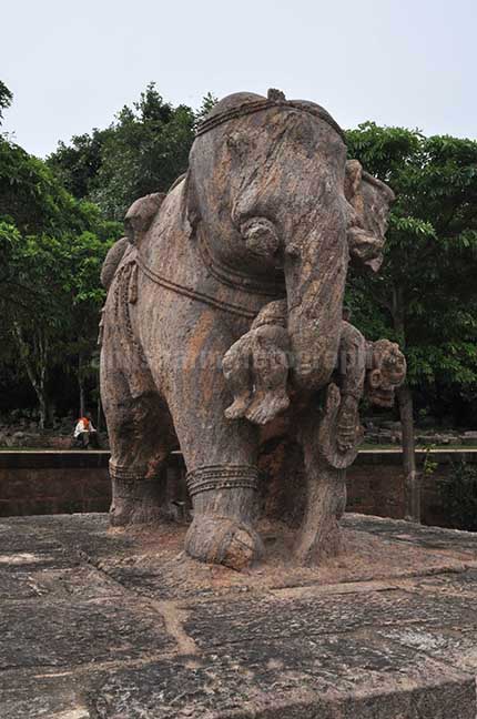 Monuments: Sun Temple Konark, Orissa (India) - Richly carved stone sculpture of an elephant holding his wounded master with his trunk at Konark Sun Temple Bhubaneswar, Orissa, India.. by Anil Sharma Photography