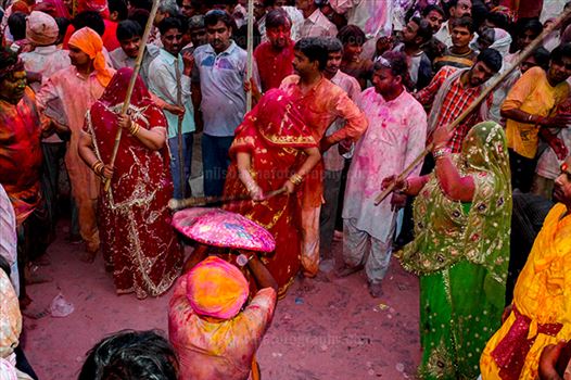 Festivals- Lathmaar Holi of Barsana (India) - A man protecting himself from womens of Barsana hitting on his shield with their sticks during Lathmaar Holi at Barsana.