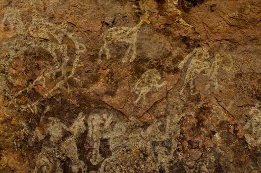 Prehistoric Rock Painting showing worriers on the  horses in white color at Bhimbetka archaeological site