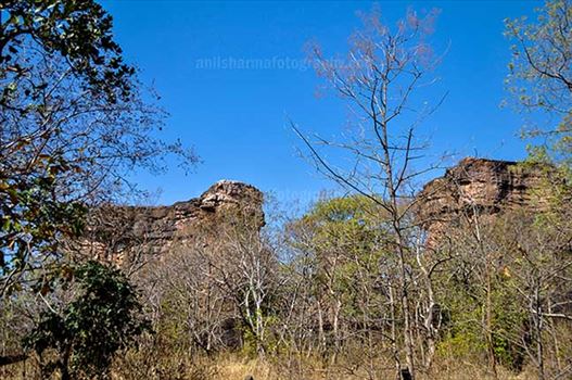 Archaeology- Bhimbetka Rock Shelters - Entrance to Bhimbetka archaeological site in Ratapani Sanctuary of Raisen District of Madhya Pradesh, India.