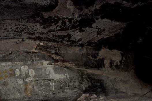 Archaeology- Bhimbetka Rock Shelters - Prehistoric rock painting of glopping horse and an Elephant in white color at Bhimbetka.