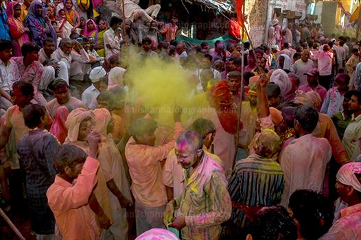 Large number of people gathered sprinkle colored powder, singing, dancing during Lathmaar Holi celebration at Barsana.