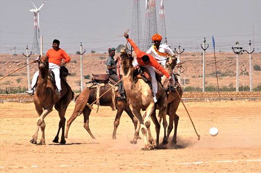 Camel polo match at Jaisalmer desert festival.