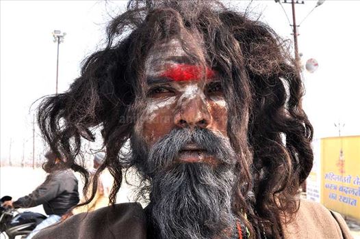 Close-up of a Aghori Sadhu with long hairs, wearing rudraksha bead at Mahakumbh, Allahabad, Uttar Pradesh, India.