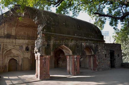Monuments: Agrasen ki Baoli, New Delhi (India) - At the top of this boali, there is a huge Neem tree and next to it are the ruins of a mosque belong to Tughlaq period.
