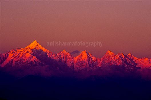 Pink color Panchchuli Peaks view from Munsyari at Uttarakhand, India.