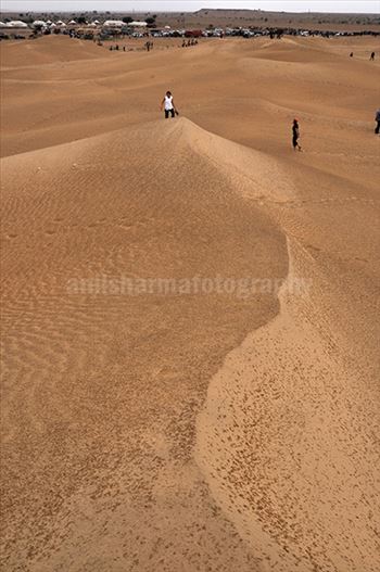 Tourists enjoy walking on the golden sand dunes in jaisalmer, Rajasthan.