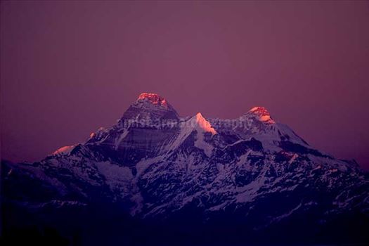 Pinkish Nanda Devi Peak in Kumaon Himalayas in Uttarakhand, India.