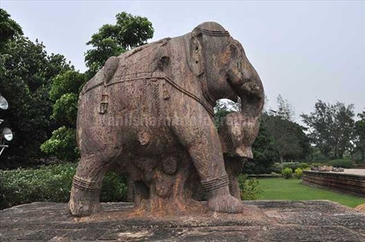 Monuments: Sun Temple Konark, Orissa (India) - Richly carved stone sculpture of an elephant holding his wounded master with his trunk at Konark Sun Temple Bhubaneswar, Orissa, India..