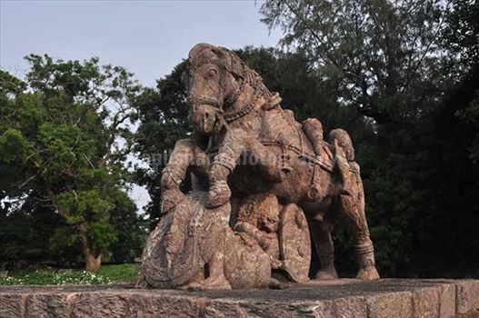 Monuments: Sun Temple Konark, Orissa (India) - Sculpture of a Horse protecting his wounded master in battle field at Konark Sun Temple, Bhubaneswar, Orissa, India