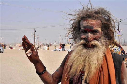 Smile of an old Aghori Sadhu with long hairs, ash on face at Mahakumbh Prayag, Allahabad, Uttar Pradesh (India).