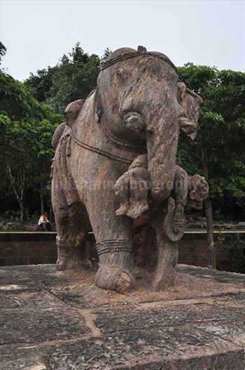 Richly carved stone sculpture of an elephant holding his wounded master with his trunk at Konark Sun Temple Bhubaneswar, Orissa, India..